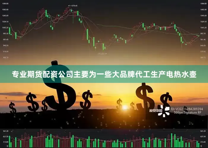 专业期货配资公司主要为一些大品牌代工生产电热水壶