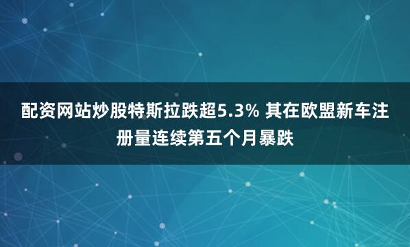 配资网站炒股特斯拉跌超5.3% 其在欧盟新车注册量连续第五个月暴跌