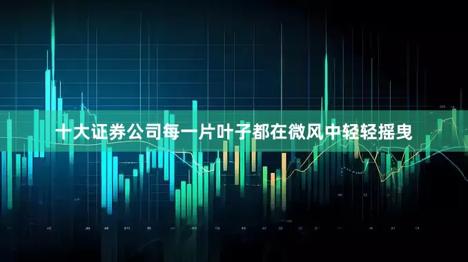 十大证券公司每一片叶子都在微风中轻轻摇曳