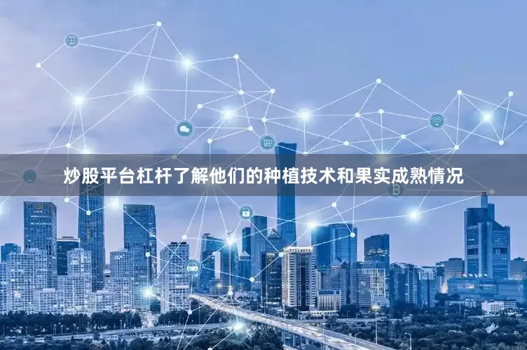 炒股平台杠杆了解他们的种植技术和果实成熟情况