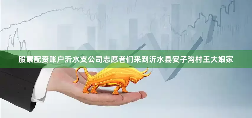 股票配资账户沂水支公司志愿者们来到沂水县安子沟村王大娘家