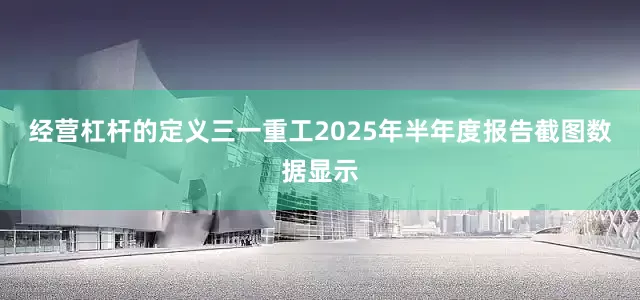 经营杠杆的定义　　三一重工2025年半年度报告截图　　数据显示